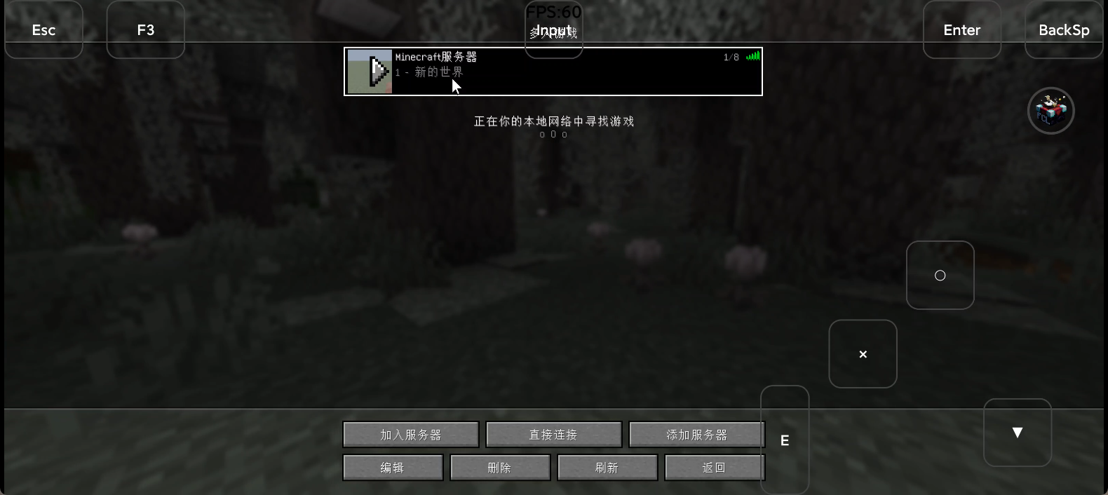 进入游戏